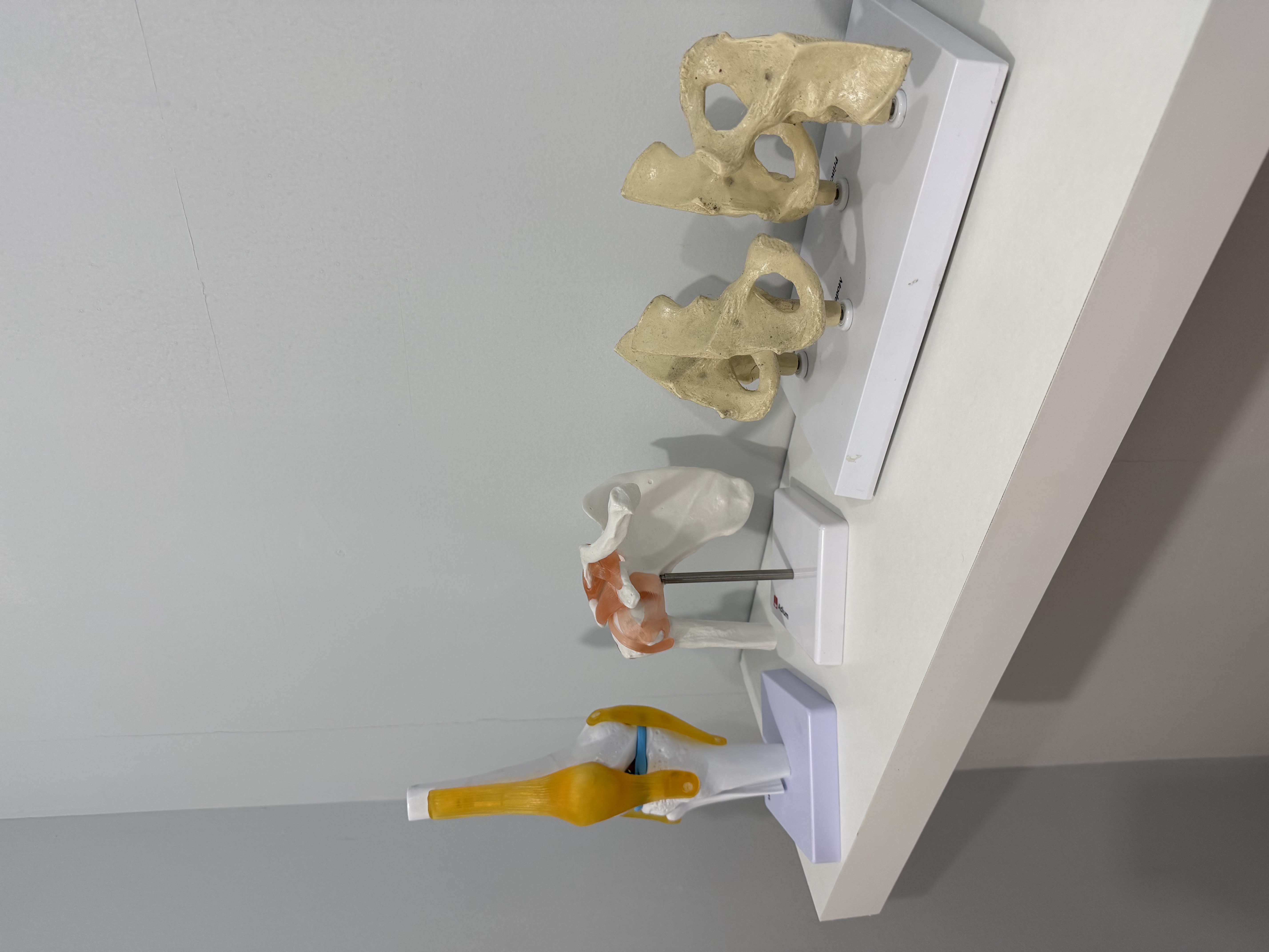 terapia física especializada